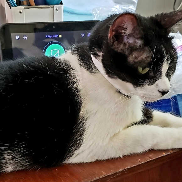 Just Breathe.. - Picture 2 of 5